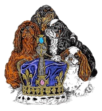 THE KING CHARLES SPANIEL CLUB - Ch